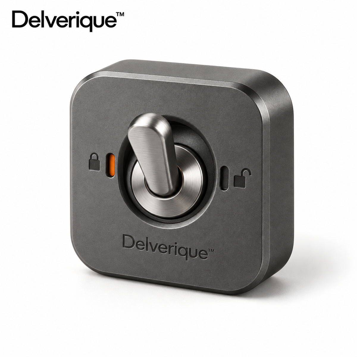 Delverique™ Latch Mechanical Toggle Toy